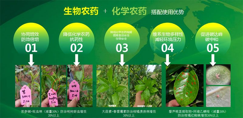 新朝陽在第六屆中國農(nóng)藥行業(yè)市場和銷售高峰論壇做“生物農(nóng)藥+化學農(nóng)藥，引領(lǐng)植保市場未來”主題報告