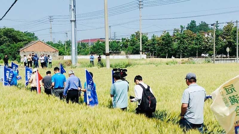 520健康植保日——擁抱綠色農(nóng)業(yè)，我們在行動