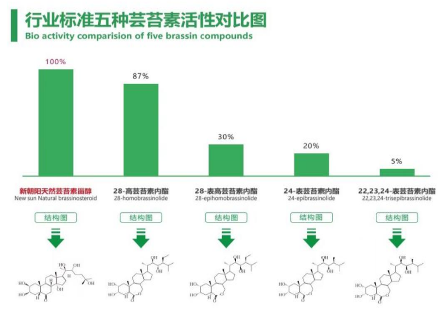 小麥拌種選新朝陽天然蕓苔素，讓小麥高產(chǎn)贏在起跑線上?。ㄐ←溤谑裁磿r候用蕓苔素效果最佳）