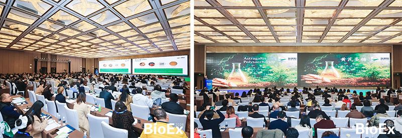 新朝陽亮相BioEx 2026：技術(shù)供給+屬地化協(xié)同，推動(dòng)高性能生物刺激素高效落地