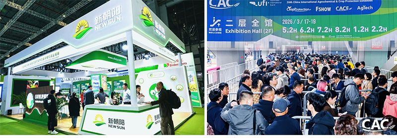 CAC 2026 | 新朝陽攜豐富產(chǎn)品矩陣亮相，全球合作再拓新局