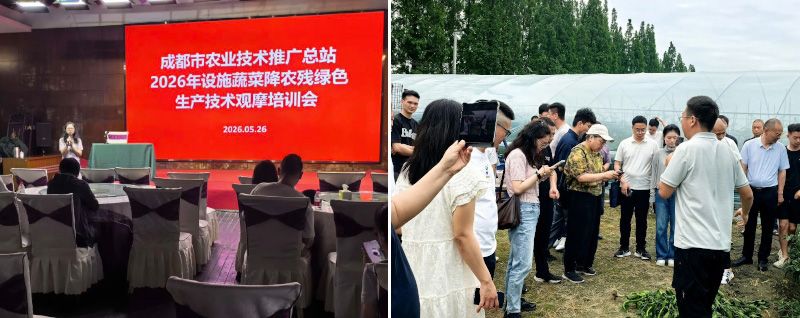 由成都市農(nóng)技推廣總站組織的“0”農(nóng)殘示范觀摩會(huì)在新津召開