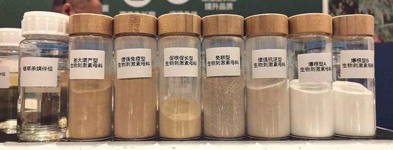 新朝陽亮相ABS 2026：聚焦生物刺激劑創(chuàng)新，助力農(nóng)業(yè)綠色轉(zhuǎn)型